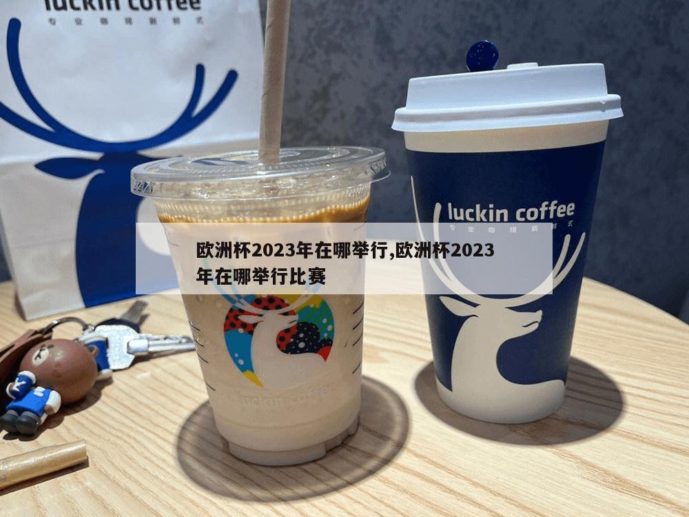 欧洲杯2023年在哪举行,欧洲杯2023年在哪举行比赛