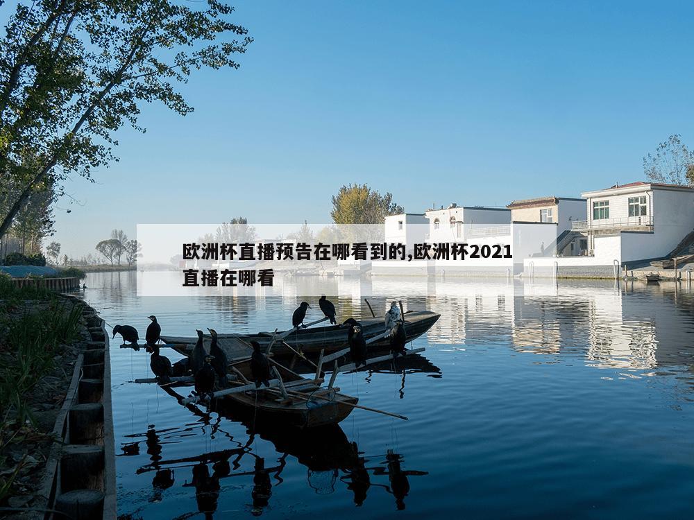 欧洲杯直播预告在哪看到的,欧洲杯2021直播在哪看