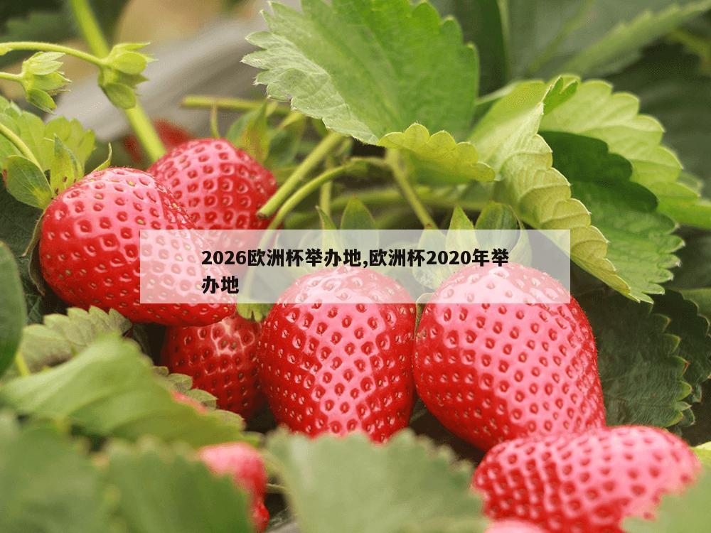 2026欧洲杯举办地,欧洲杯2020年举办地