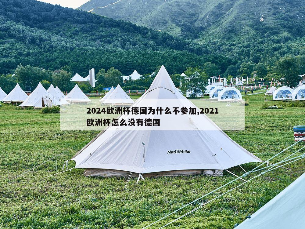 2024欧洲杯德国为什么不参加,2021欧洲杯怎么没有德国