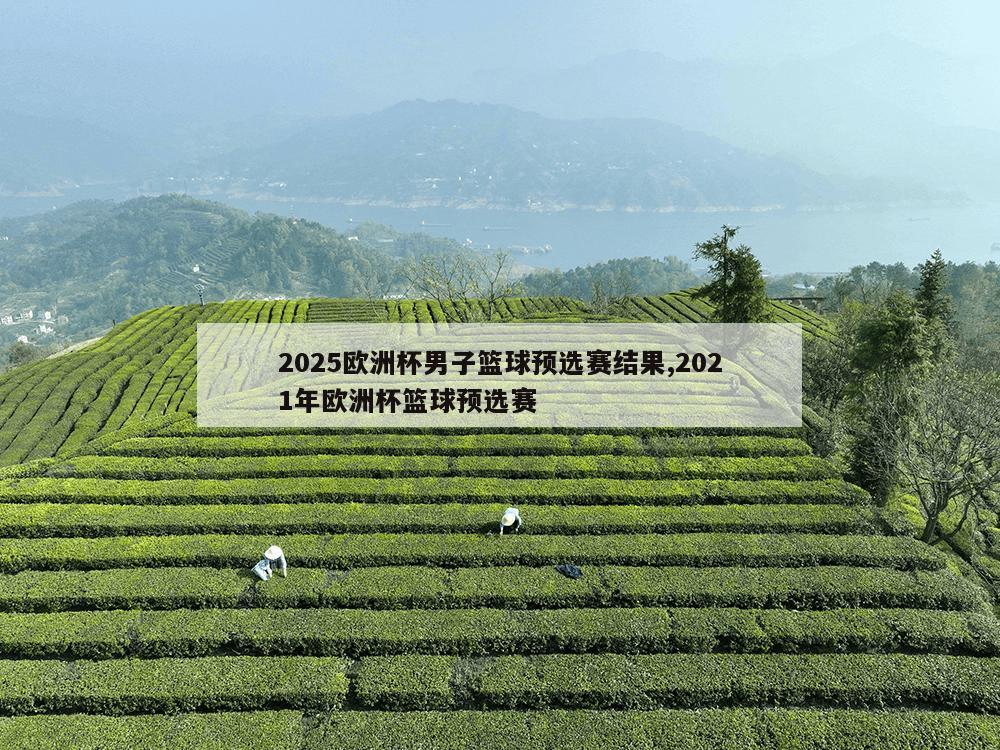 2025欧洲杯男子篮球预选赛结果,2021年欧洲杯篮球预选赛