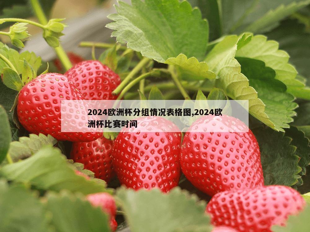 2024欧洲杯分组情况表格图,2024欧洲杯比赛时间