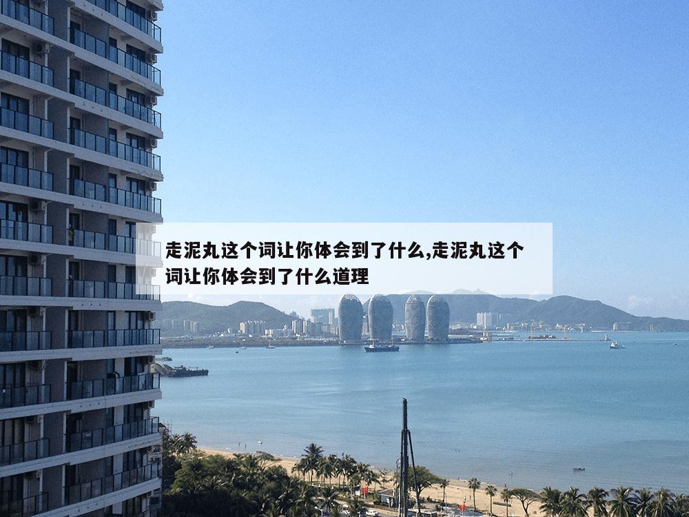 走泥丸这个词让你体会到了什么,走泥丸这个词让你体会到了什么道理