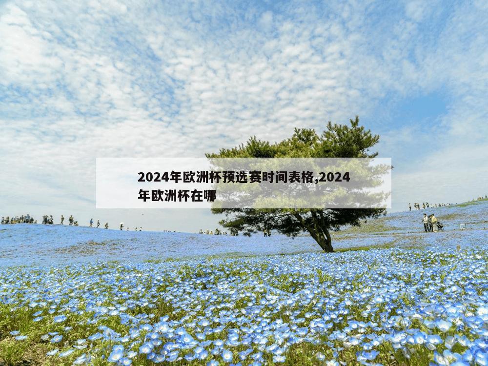 2024年欧洲杯预选赛时间表格,2024年欧洲杯在哪