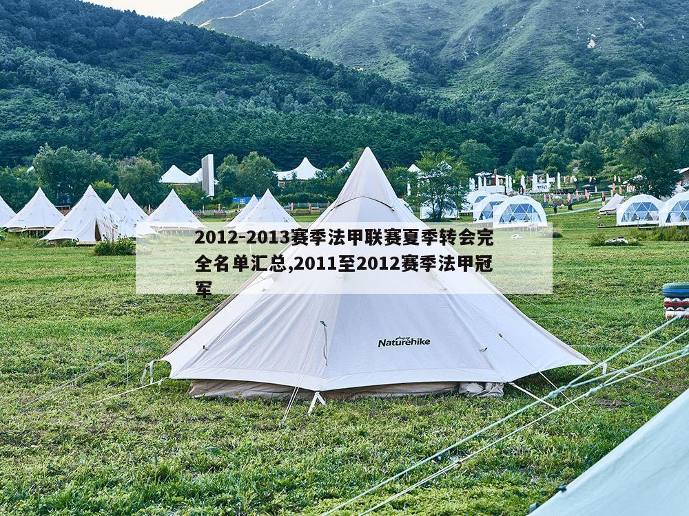 2012-2013赛季法甲联赛夏季转会完全名单汇总,2011至2012赛季法甲冠军