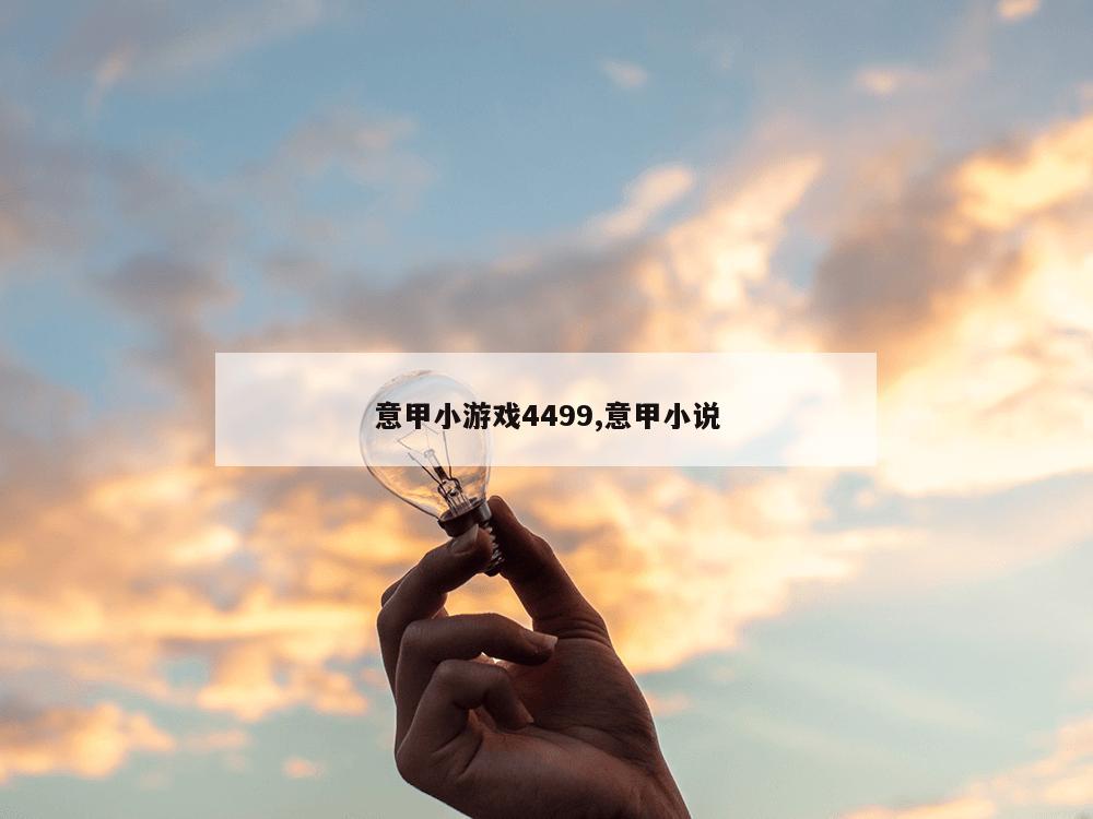 意甲小游戏4499,意甲小说